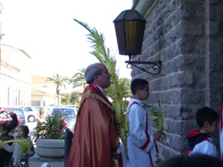 domenica delle palme